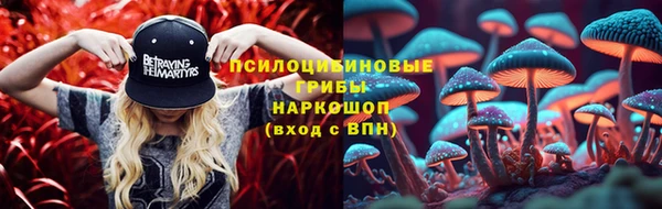 дурь Осинники